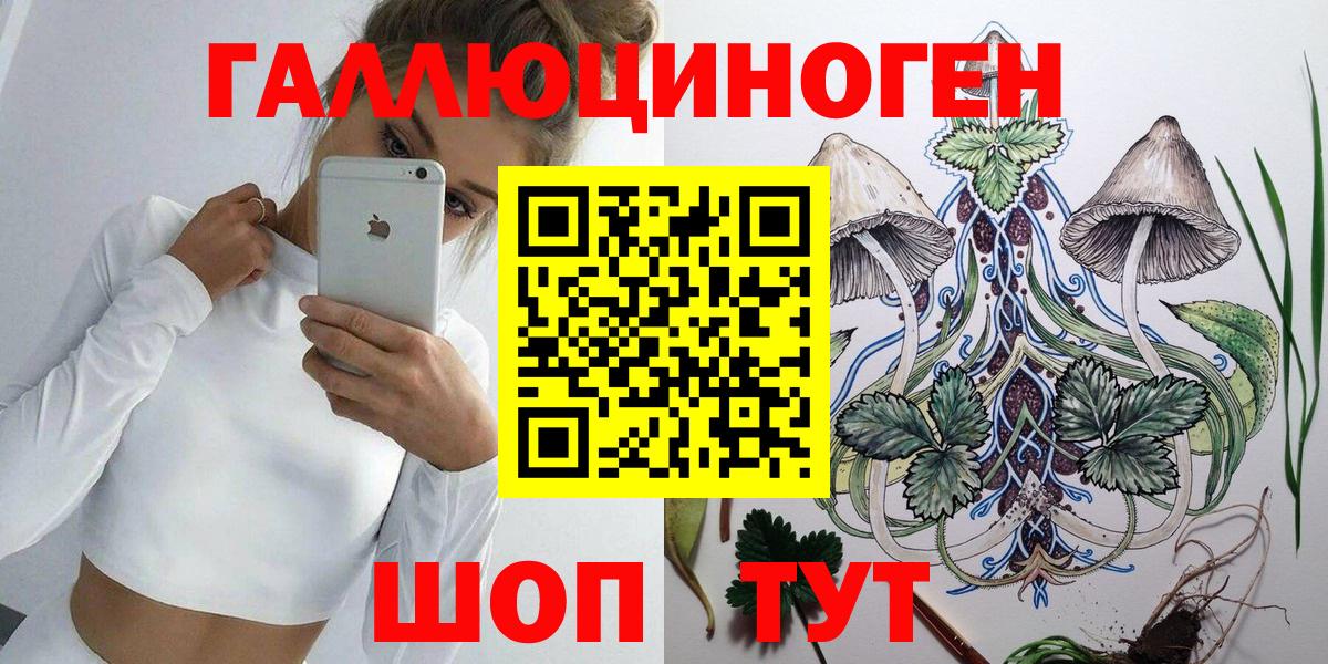 Псилоцибиновые грибы Psilocybine cubensis Мариинск